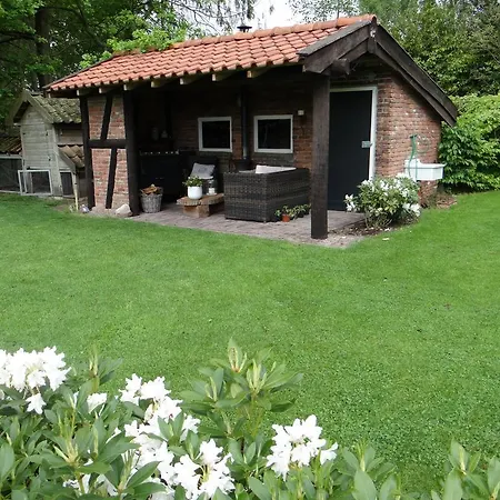 B&B Gastvrij Lenthe-3